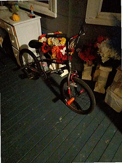 20 inch bmx bike
