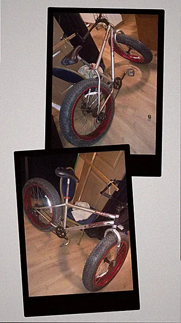 fat tire mongoose bike